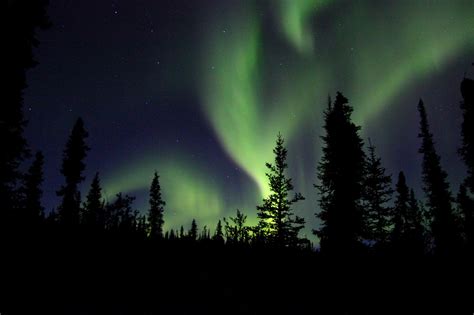 Northern Lights In The Wilderness Free Stock Photo - Public Domain Pictures