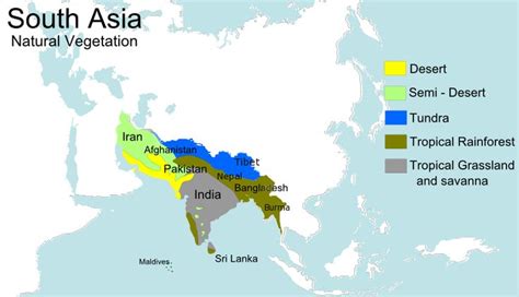 Asia, Tropical rainforest, South asia