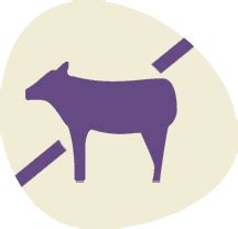 Растительное молоко | Hi-food Хай Фуд