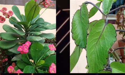 Bei Ya Infinix Hot 30 Na Sifa Zake Muhimu SimuNzuri