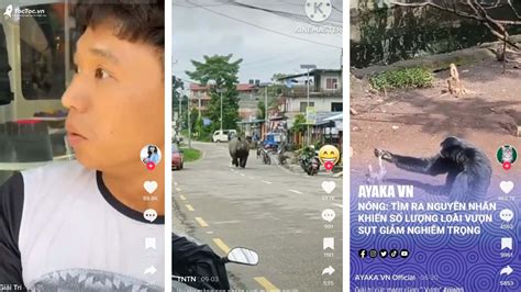 Top những chủ đề hot trên TikTok Việt Nam và Trung Quốc