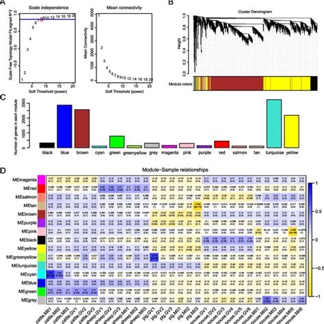 Weighted Gene Co Expression Network Analysis WGCNA Of Interspecies