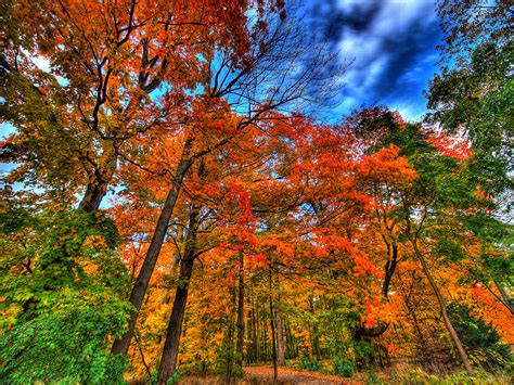 images  fall foliage winter  coming infinite world wonders