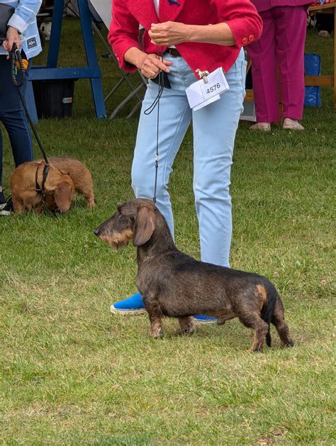 In Memory of Alan Hutchinson: Life and Legacy 8