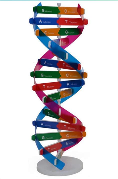 Dnk Russia DNK-RUSSIA интернет магазин - молодого бренда стильной и ...