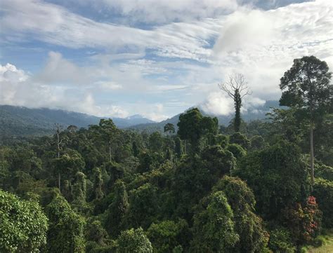 Seek Sophie | What to Expect on a Hike in the Most Untouched Place on Earth