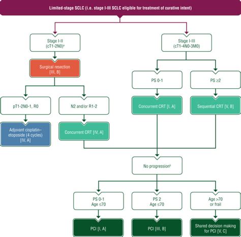 Small Cell Lung Cancer Esmo Clinical Practice Guidelines For Diagnosis Treatment And Follow Up