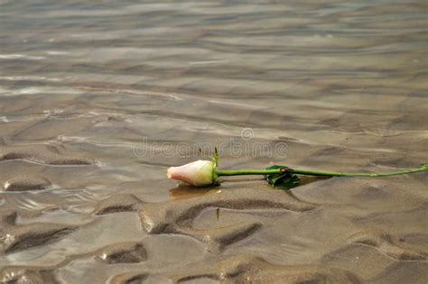 Nam Op Het Zand Symbool Toe Van Reusachtigheid Stock Afbeelding