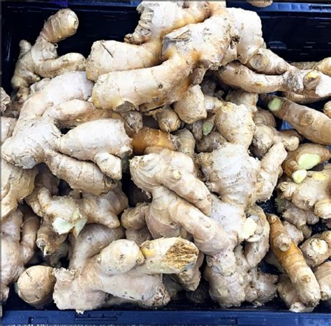The Top 5 Health Benefits of Ginger | Nathen Mixon