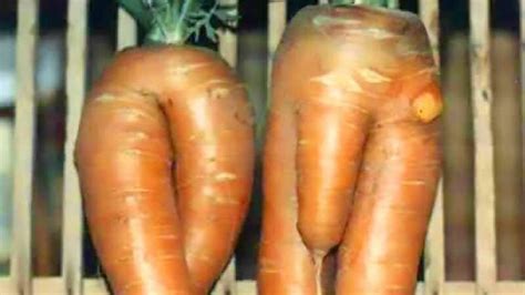 Plant Porn 20 Surprisingly Erotic Images From Nature SFW