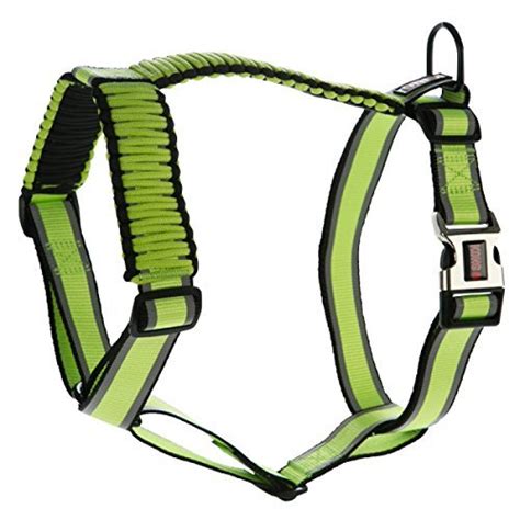 The Best 4 Kong Harnesses for Dogs - Dogs Experts