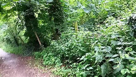 Rockardglans S Porn Videos And Reels Nude Photos And Bio On XHamster