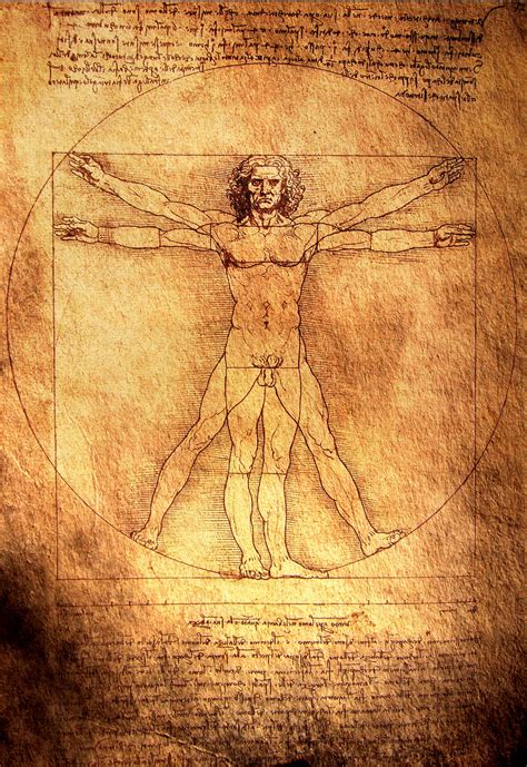 pin  pinner   science vitruvian man da vinci vitruvian man