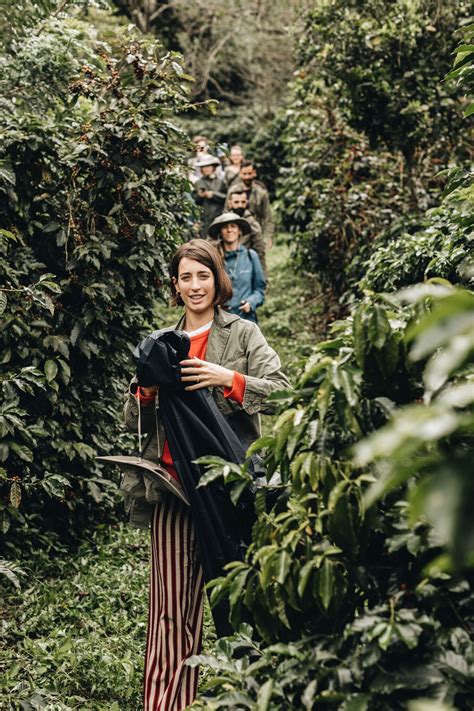 The Real Story Behind the Coffee You Drink Every Day - Wit & Delight