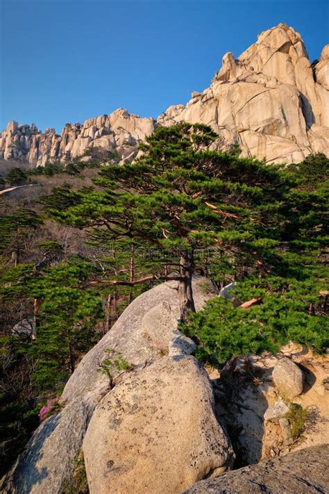 Ulsanbawi The Rock With Six Peaks At The Top Of Seorak Mountain In