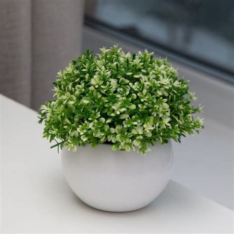 Купить Барбарис. Искусственные растения в горшке для дома, кухни ...