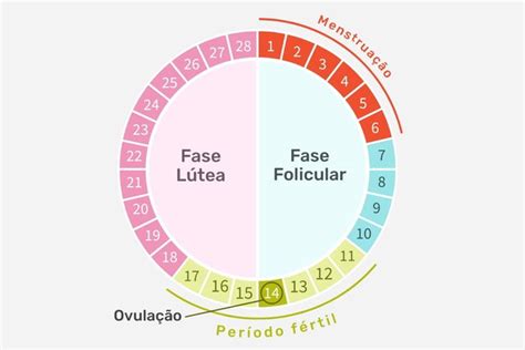 Como Calcular O Ciclo Menstrual Confira Algumas Dicas Reverasite 144256