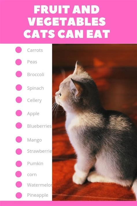 young again cat food comparison chart - Corrie Humphries