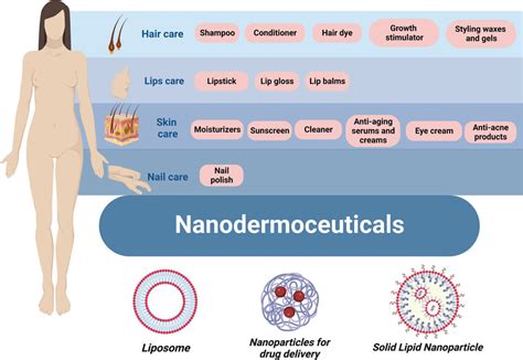 Main nanodermoceutics (created by BioRender.com [15]). | Download ...