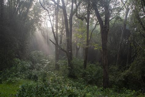 Indian Court Rules That Nature Has Legal Status on Par With Humans—and ...