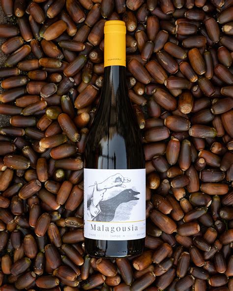 10 Greek Wine Varieties You Should Try Vourvoukeli Estate