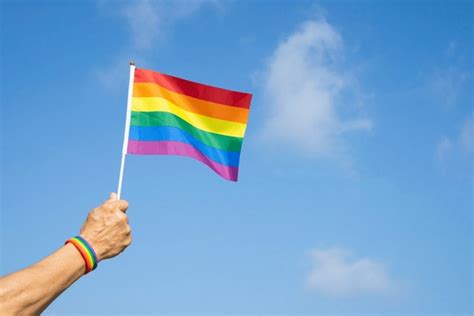 en la categoría Bandera gay manos de imágenes fotos de stock e ilustraciones libres