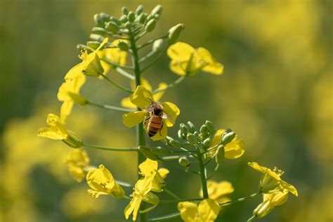 Nature Gathering Photos, Download The BEST Free Nature Gathering Stock