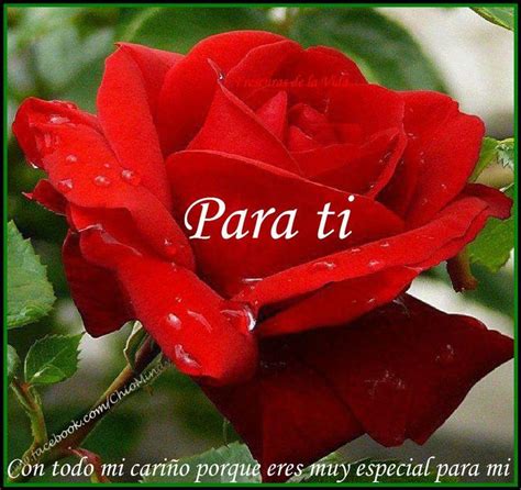 Imágenes de amor con rosas | Imagenes de amor gratis