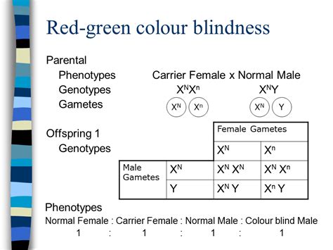 Sex Linkage Presentation Genetics