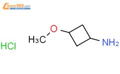 顺式 3 甲氧基环丁胺盐酸盐 cis 3 Methoxycyclobutanamine hydrochloride 1408074 54 3