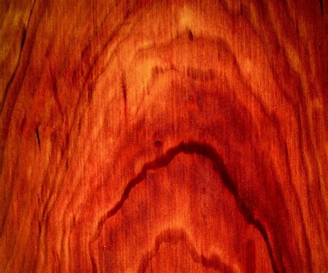 Translucent Wood Panels : 5 Steps - Instructables