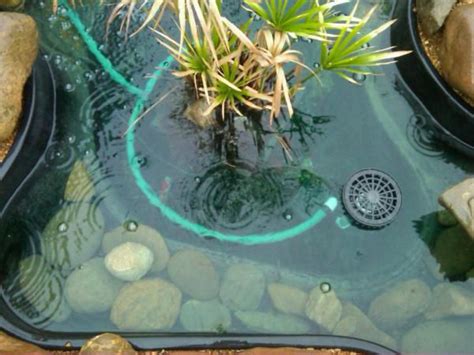 Diy Garden Pond Skimmer Fasci Garden