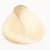 Plaukų dažai Fanola Color Superlight Blonde Platinum Golden