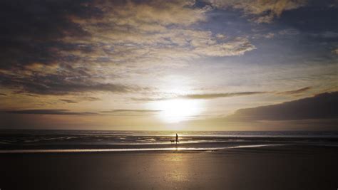 Walking The Dog Photos In  Format Free And Easy Download Unlimit Id