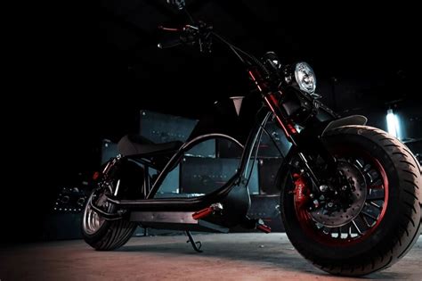 Электробайк WHITE SIBERIA WILD WHEEL (821797474) купить с доставкой по ...