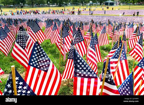 American Flags To Remember The Memorial Day Gardens Of Boston Common