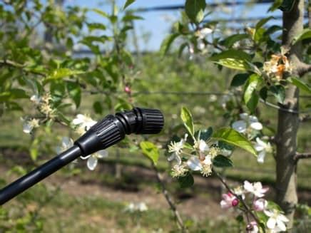 Справочники | Дела (Огород.ru)