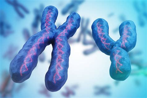 Gender Aside Biological Sex Isnt A Dichotomy Heraldnet