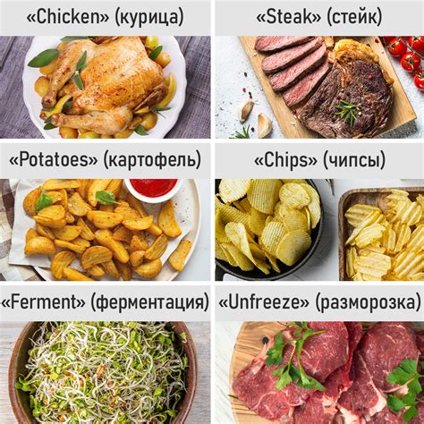 Аэрогриль духовка духовой шкаф мини-печь гриль аэрофритюрница сушилка ...