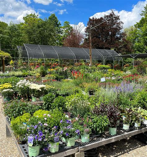 Salisbury Garden Center And Landscaping Home