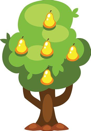 Birne Baum Vektor Illustration Stock Clipart Lizenzfreie Freeimages