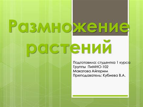 Размножение растений - презентация онлайн