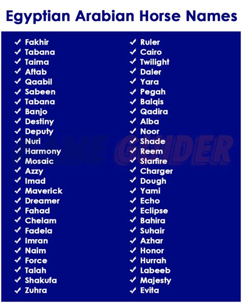 egyptian arabian horse names ideas  suggestions  guider