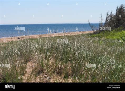 Stanhope Beach Pei Hi Res Stock Photography And Images Alamy