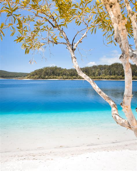 blue waters  lake mckenzie  kgari fraser island queensland