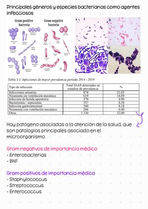 Bacterias De Importancia En Enf Infecciosas Microbiolog A Gruesa