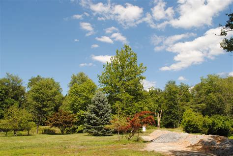 Parks & Facilities • Serpentine Preserve