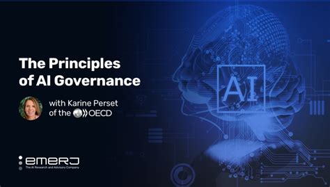 The Principles Of Ai Governance With Karine Perset Of The Oecd