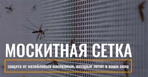 Как выбрать и купить москитную сетку на окна