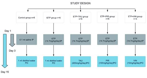 Schematic diagram of experimental groups and treatments in the study ...